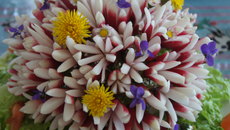 Bouquet croquant nature