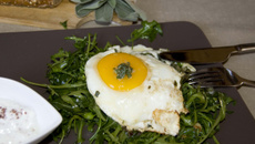 Breakfast turc