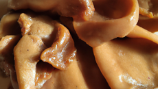 Langues de chat faciles