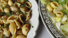 Salade de Conchiglie Rigate et poulet grillé au Parmesan et origan