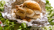 Le poussin de Marseille