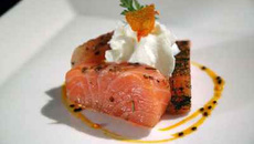Coupe du Tsar de saumon fumé au curcuma