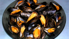 Moules à l'algéroise