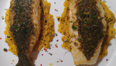 Filets de Saint-Pierre au bouillon, Pé-Tsaï et ras al-hanout