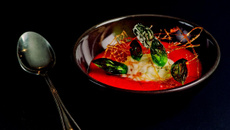 Soupe de fraises, sorbet basilic et tuile de caramel