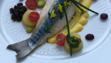 Morue à la niçoise