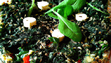 Quiche 'Popeye' quinoa / épinards