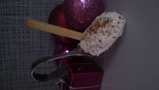 Petites cuillères St Môret et thon