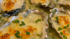 Gratin d'huîtres à la Chandivert