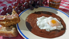 Sauce à l'œuf vigneronne du Berry, au vin rouge et à la moutarde aromatisée Amora