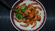 Les crevettes Scampi de Scandal