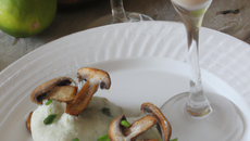 Sorbet aux champignons et citron vert à la vodka