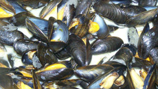 Moules marinières gourmandes