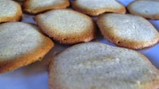 Langues de chat économiques