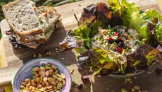 Salade de poulet au yaourt, mangue et curry