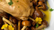 Poularde au vin jaune et aux morilles