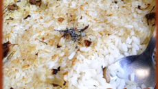 Gratin de riz au four aux champignons