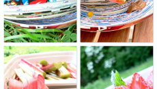 Tarte fine rose rhubarbe