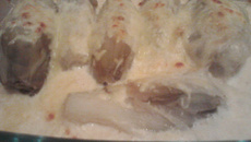 Chicon à la sauce blanche