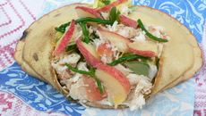 Salade de crabes, salicorne, pourpier, herbes et pêches