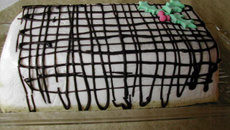 Bûche coco-citron vert