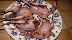 Grives à la friteuse