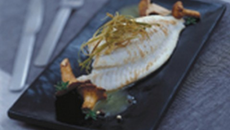 Filet de turbot aux girolles émulsion d'huile d'olive de Provence