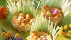 Petits nids à la noix de coco maison