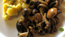 Pintadeau de la Drôme aux champignons