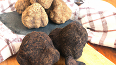 Truffade de haute loire