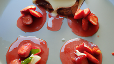 Ensoleillée de fraises à la croque en sucre une goutte de vin rouge de sauge sa crème glacée de brousse de mon chevrier