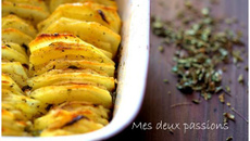 Gratin de pommes de terre