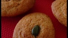 Madeleines du Périgord