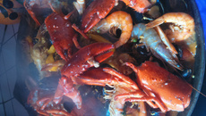 Paella royale de Fête