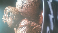 Muffins au chocolat classiques