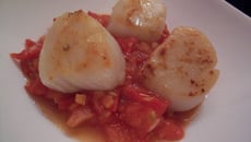 Saint-jacques poêlées à la tomate