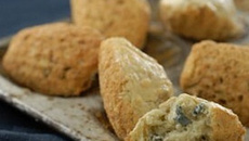 Madeleine au Bleu des Moines