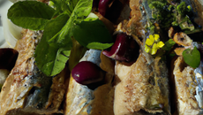 Maquereaux marinés au vin blanc et au vinaigre de cidre
