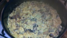 Omelette et champignon en fête