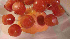 Tomates d'amour classique