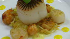 Noix de Saint-Jacques au gingembre