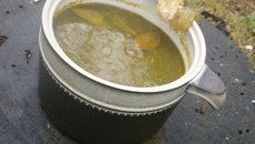 Potion de Druidesse