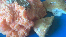 Méli-mélo de carotte à la moutarde ancienne accompagné de son escalope vegan