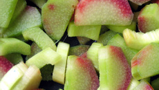 Succulent à la rhubarbe