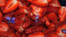 Salade de fraises aux violettes