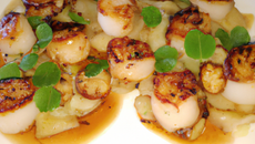 Coquilles St Jacques rôties au miel en habit de noix de coco, poireaux brillants au parfum de réglisse