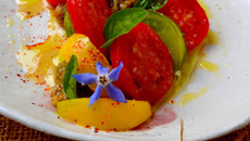 Salade de tomates multicolores, caviar d'aubergines au basilic