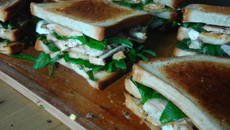 Sandwichs au poulet