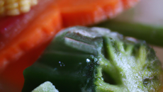 Bicolore de légumes en gelée