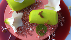 Crème au chocolat blanc, mousse citron vert et gelée d'hibiscus